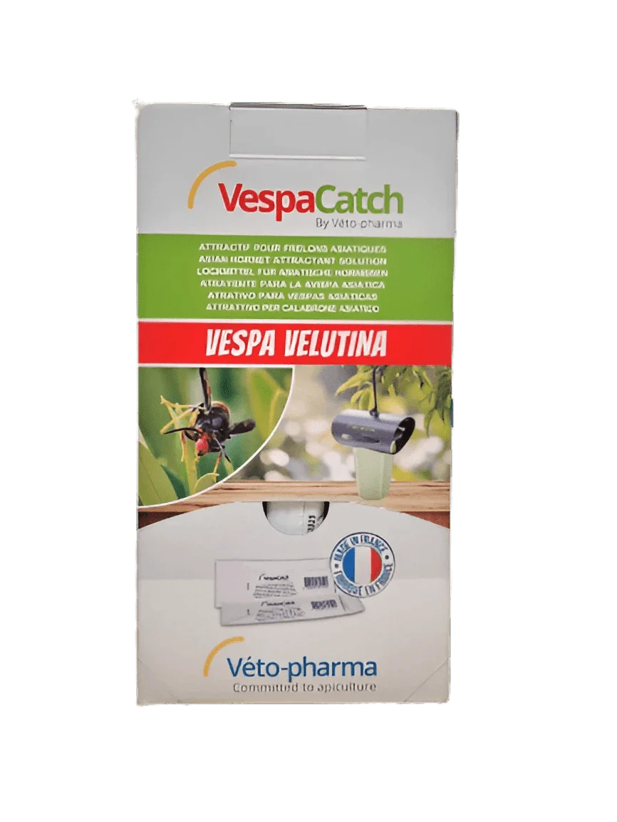 Atrayente Avispa Velutina - VespaCatch - Image 2