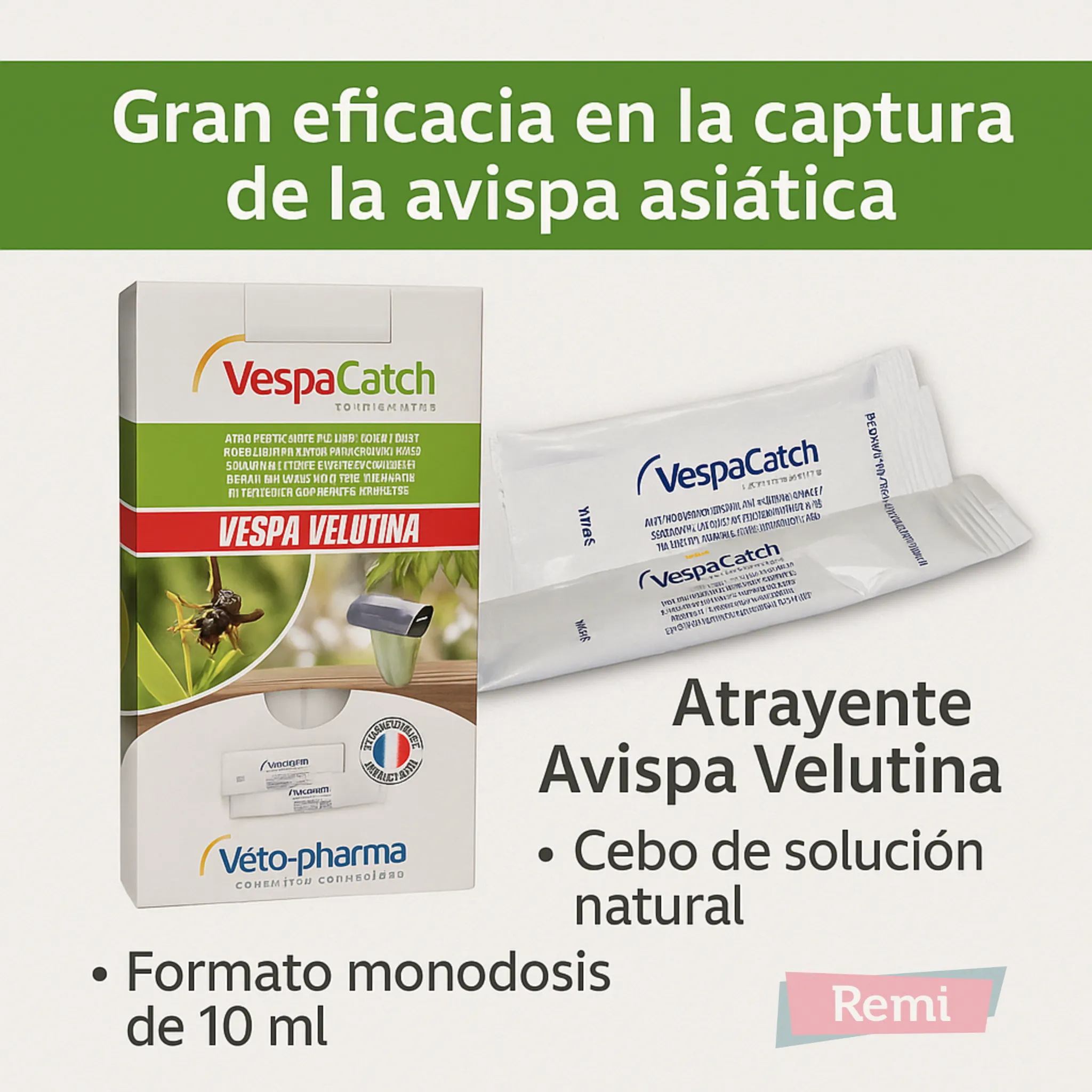 Atrayente Avispa Velutina - VespaCatch - Image 4