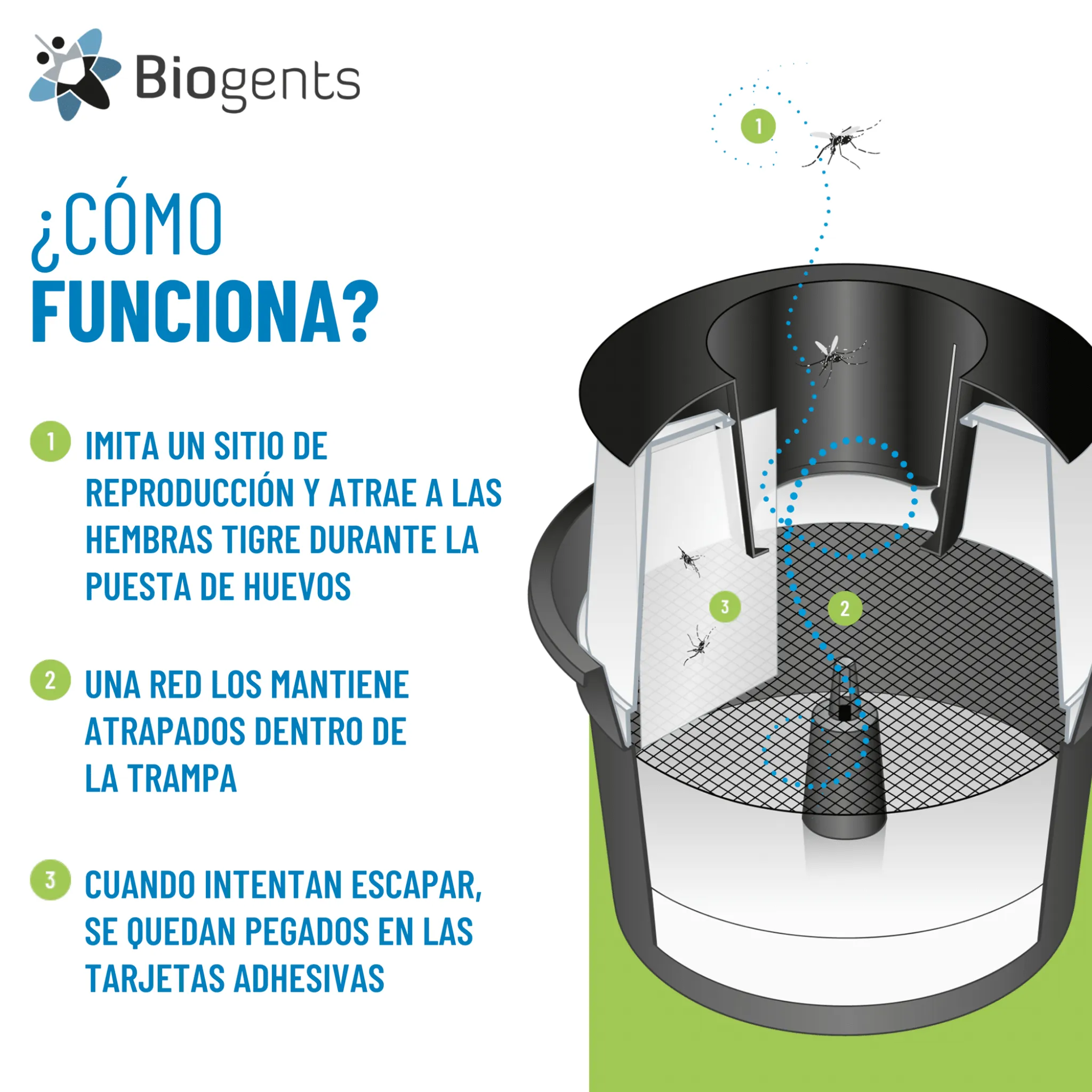 Trampas BG-GAT pack 2 unidades - Biogents - Image 3