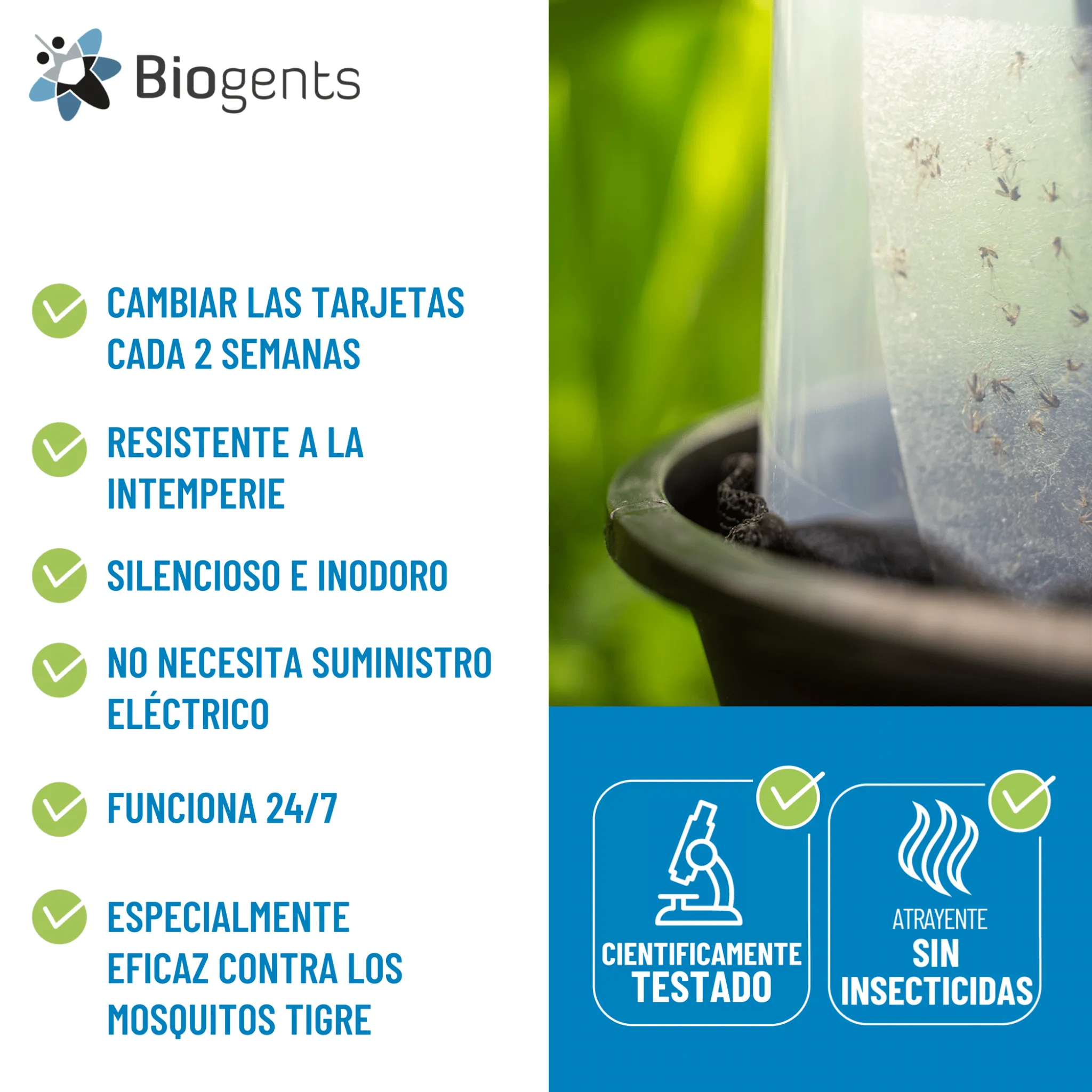 Trampas BG-GAT pack 2 unidades - Biogents - Image 5