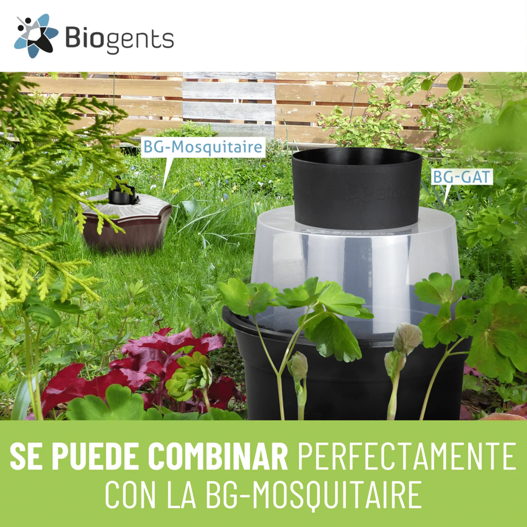Trampas BG-GAT pack 2 unidades - Biogents - Image 7