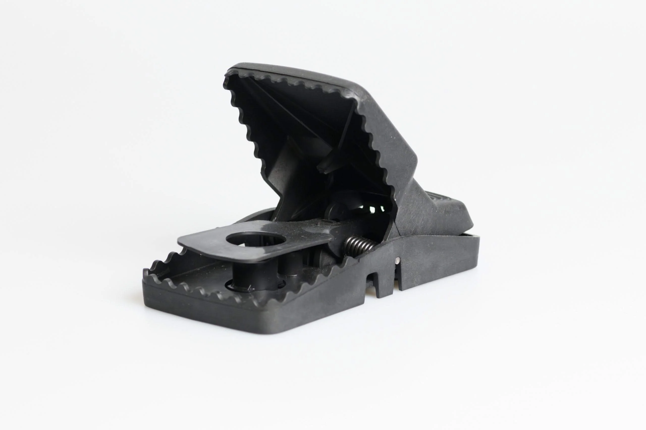Cepo para Ratas Trapper T-Rex - Image 3
