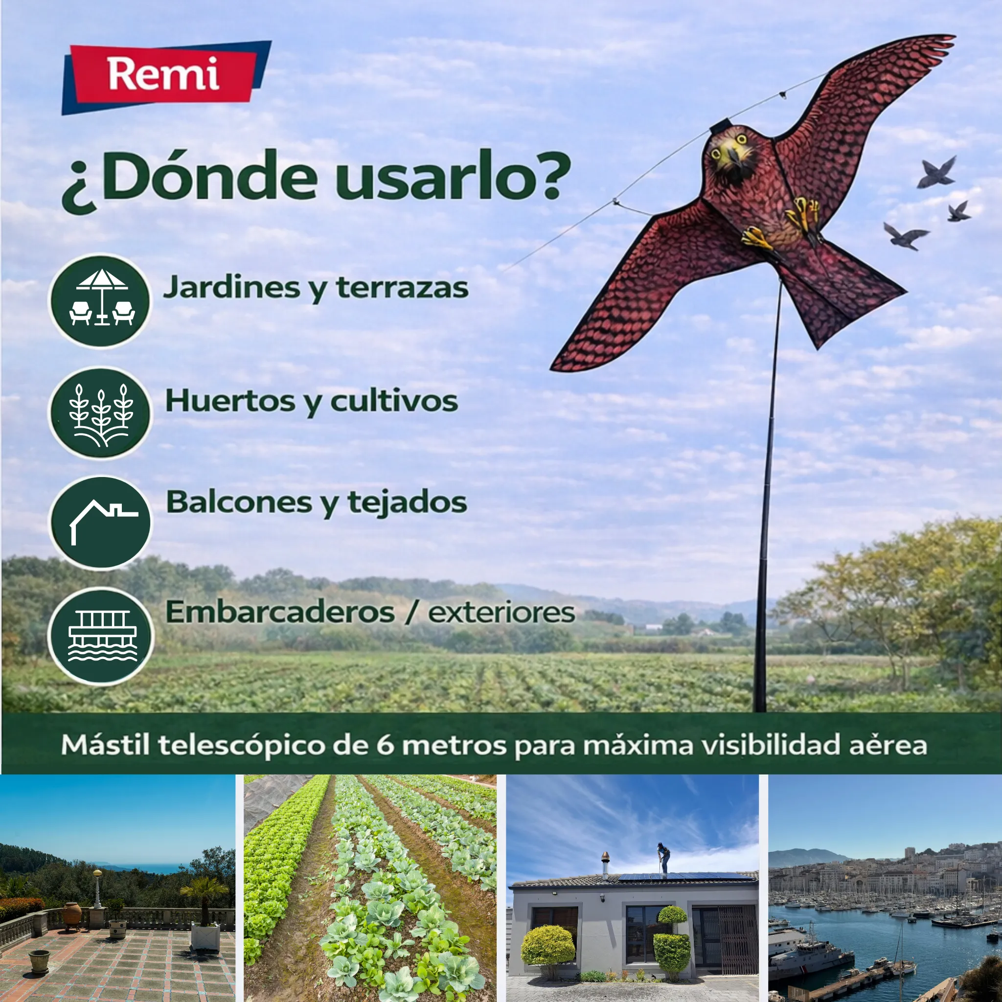 Cometa Halcón Espantapájaros con Mástil 6 metros - Image 7