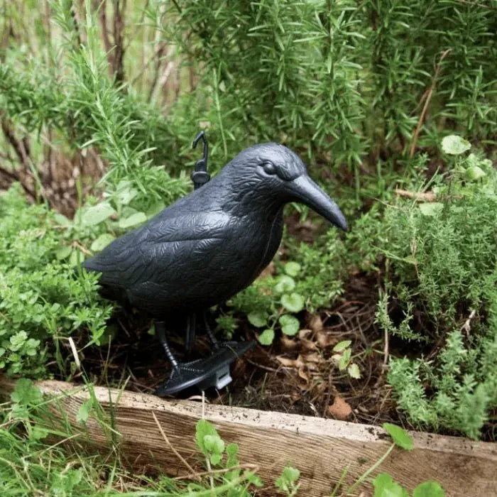 Cuervo Espantapájaros - Remi Hogar - Image 4