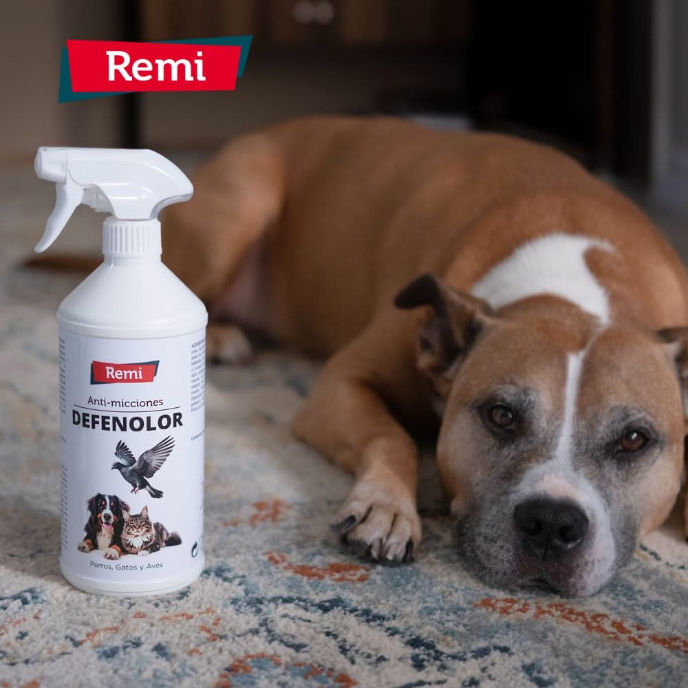 Defenolor - Spray Anti Micciones para Perros, Gatos y Palomas 750 ml - Image 5