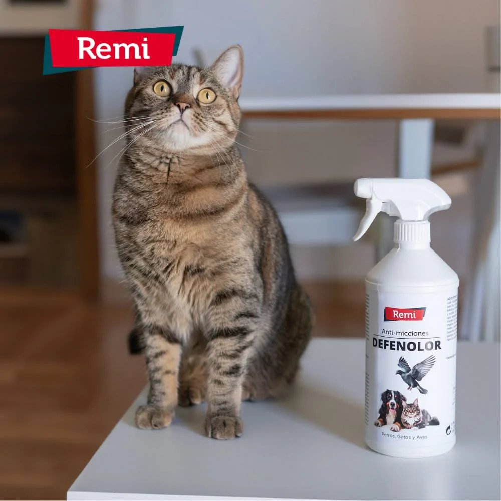 Defenolor - Spray Anti Micciones para Perros, Gatos y Palomas 750 ml - Image 6