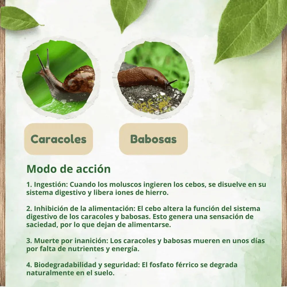 Matacaracoles, babosas y antilimacos - DOFF - Image 4