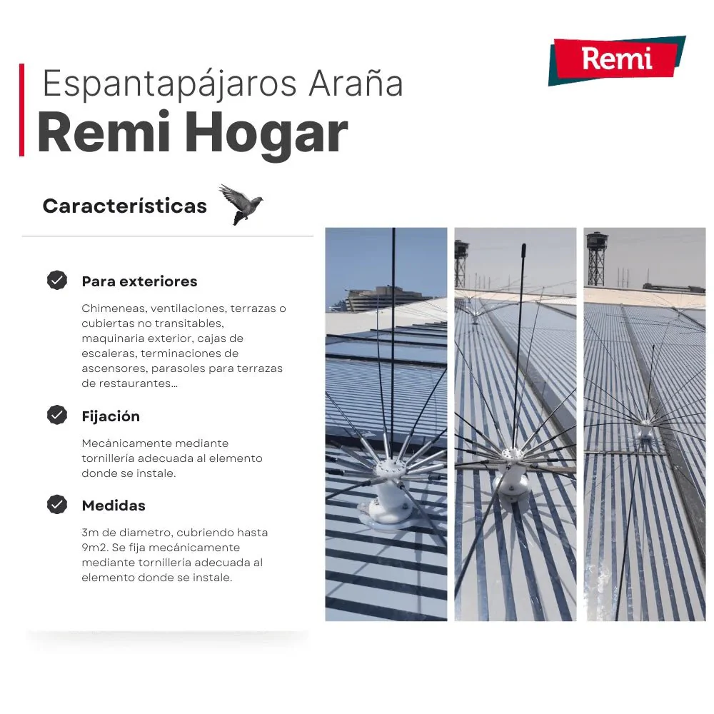 Eolo Araña Espantapájaros - Remi Hogar - Image 3