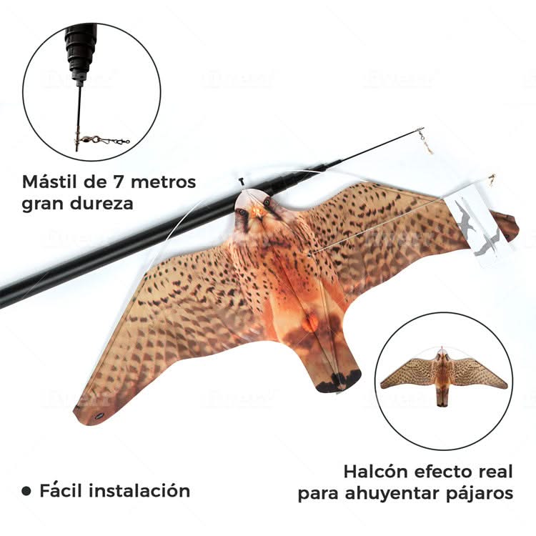 Eolo Halcón Espantapájaros - Image 4