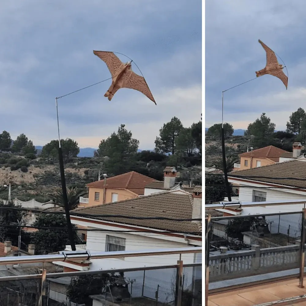 Espantapájaros para Balcón - Eolo Halcón - Image 4