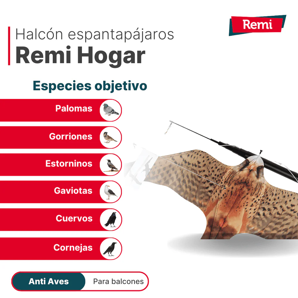 Espantapájaros para Balcón - Eolo Halcón - Image 5