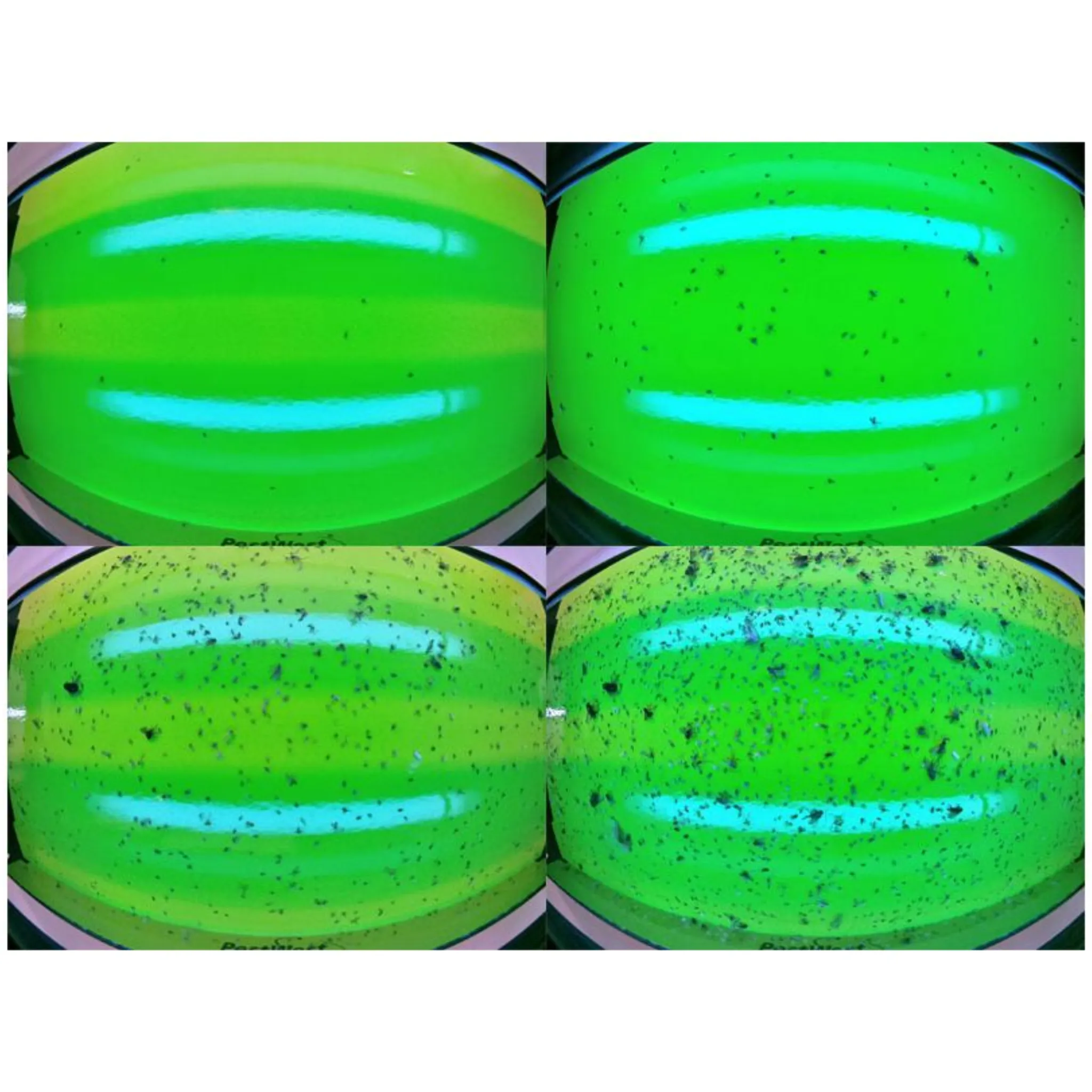 FlyDetect X LED - Image 5