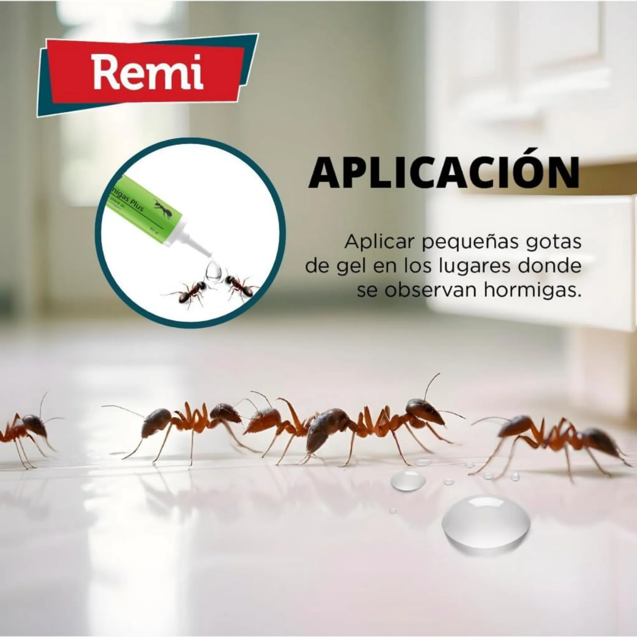 Gel Insecticida Hormigas Plus 10 gr - Image 7