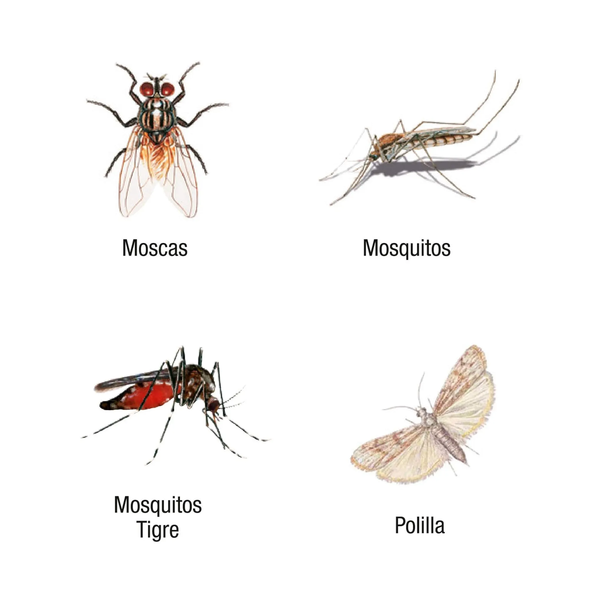 Insecticida Mosquitos Exteriores 500 ml - Protect Home - Image 3