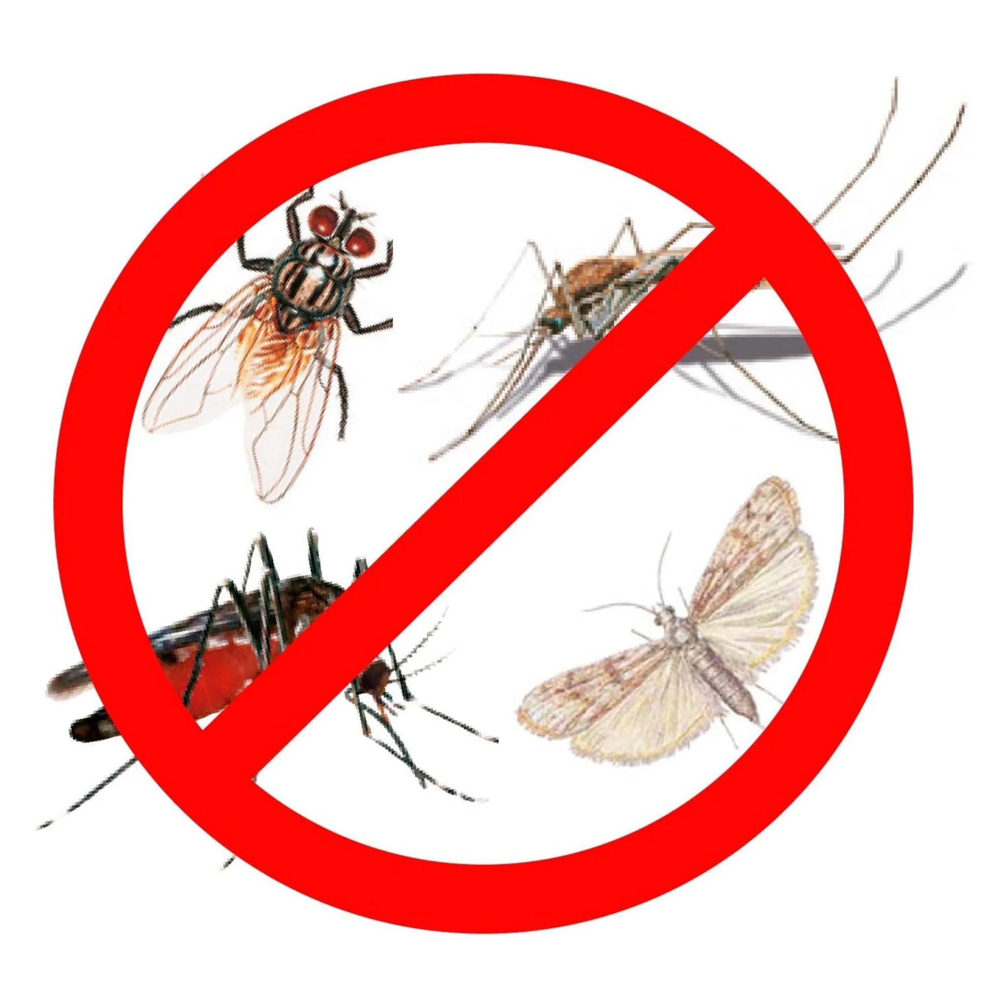 Insecticida Mosquitos Exteriores 500 ml - Protect Home - Image 5