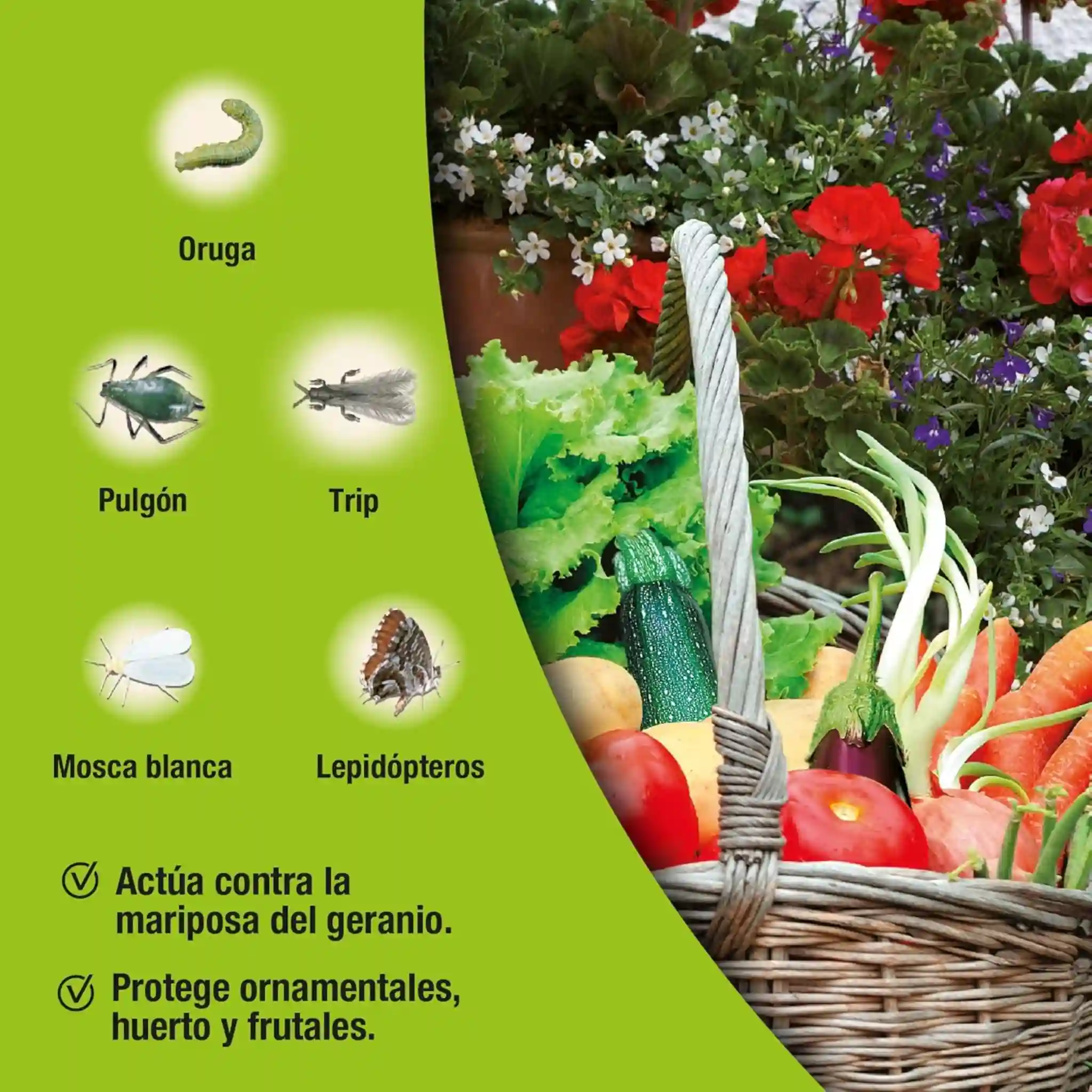 Insecticida Choque EW Decis Protech - Protect Garden - Image 3