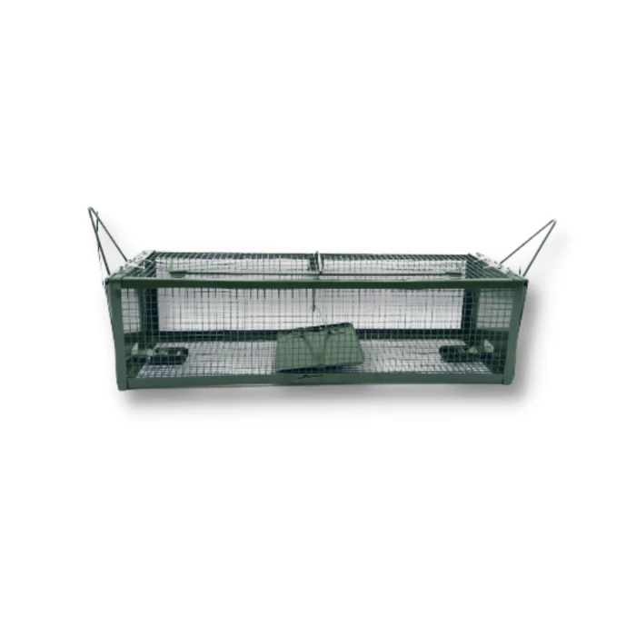 Jaula Captura Ratas y Ratones - Remi Hogar - Image 4