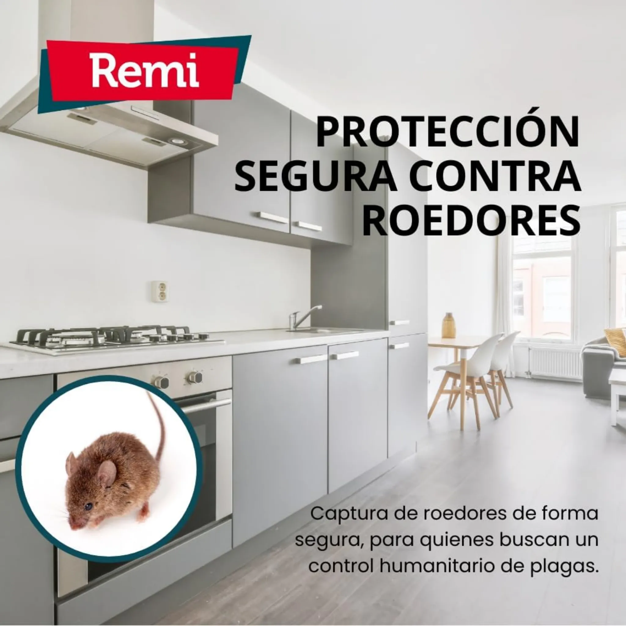 Jaula Captura Ratas y Ratones - Remi Hogar - Image 6