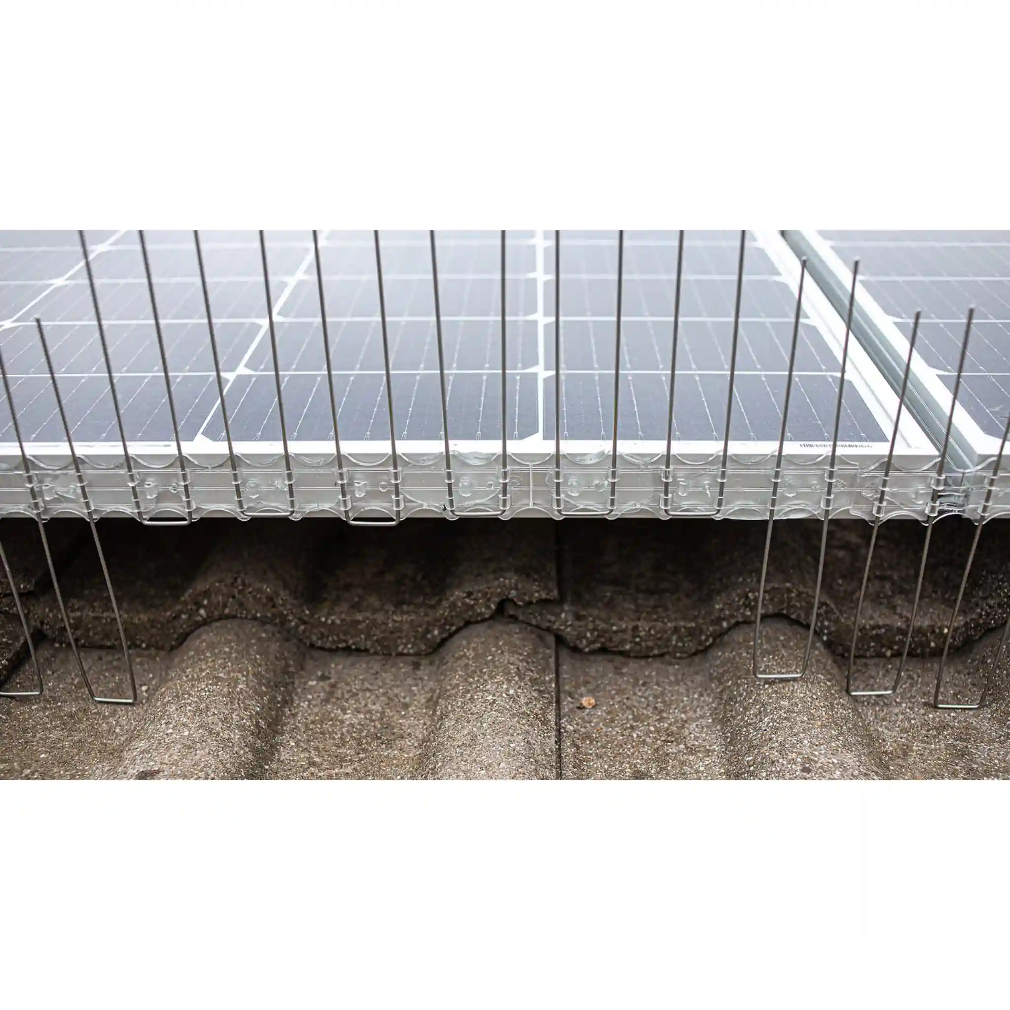 Pinchos Anti Aves para Placas Solares - Image 9