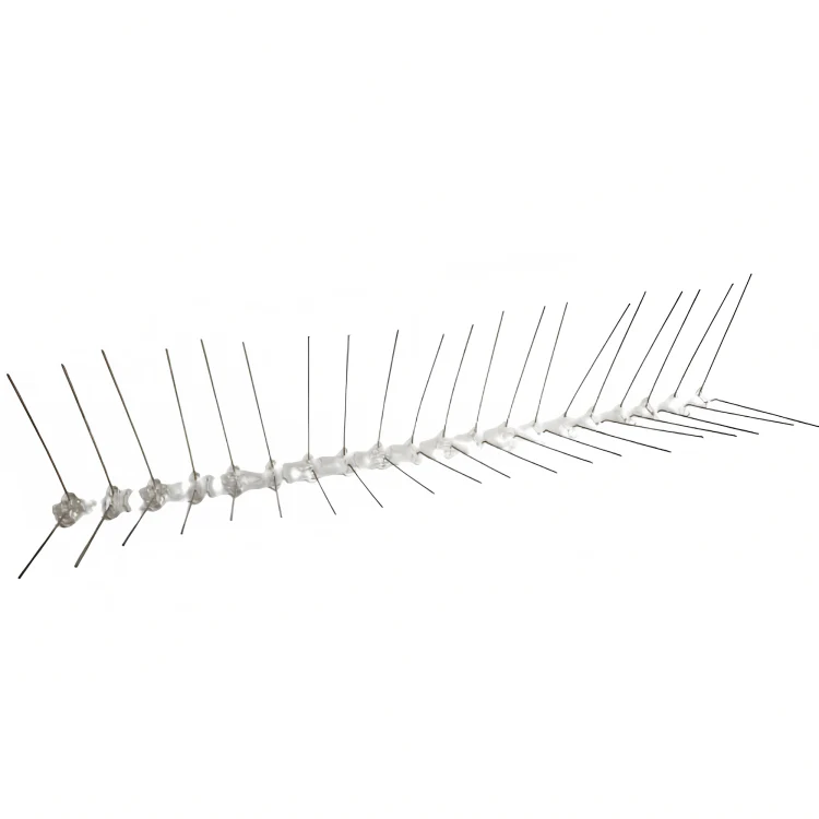 Pinchos parte superior - placas solares - Image 3