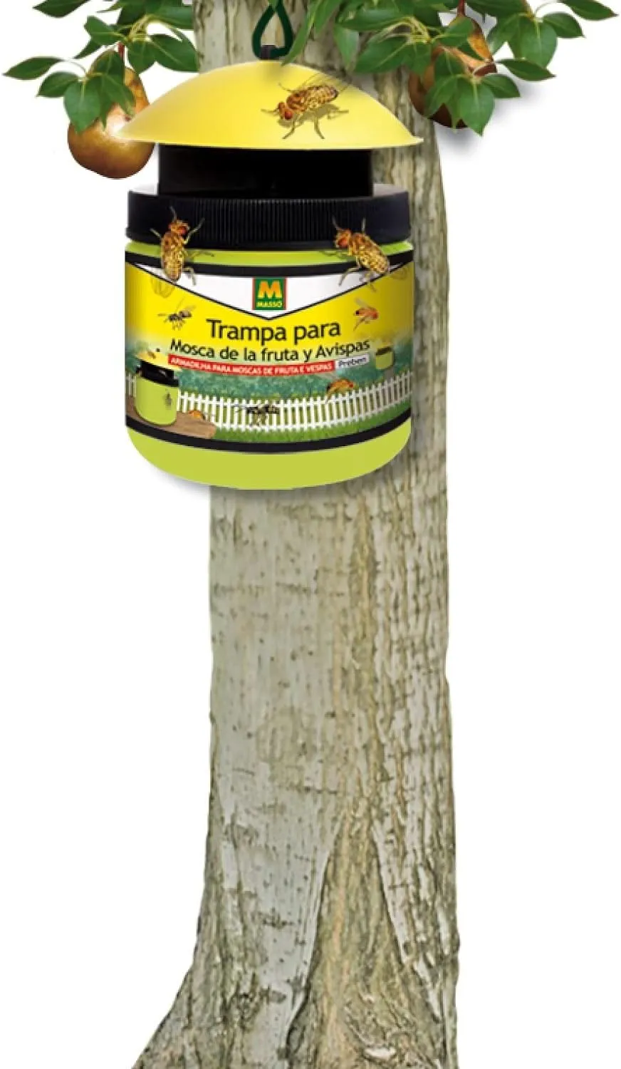 Preben Trampa para Avispas y Mosca De La Fruta - Masso - Image 4