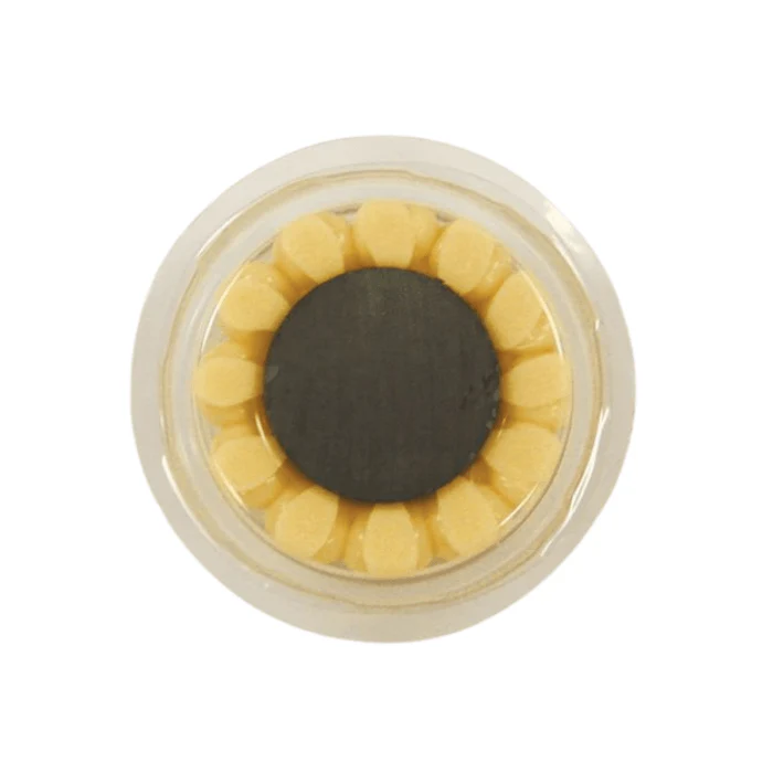 Repelente de Pájaros y Aves - Bird Free - Image 4
