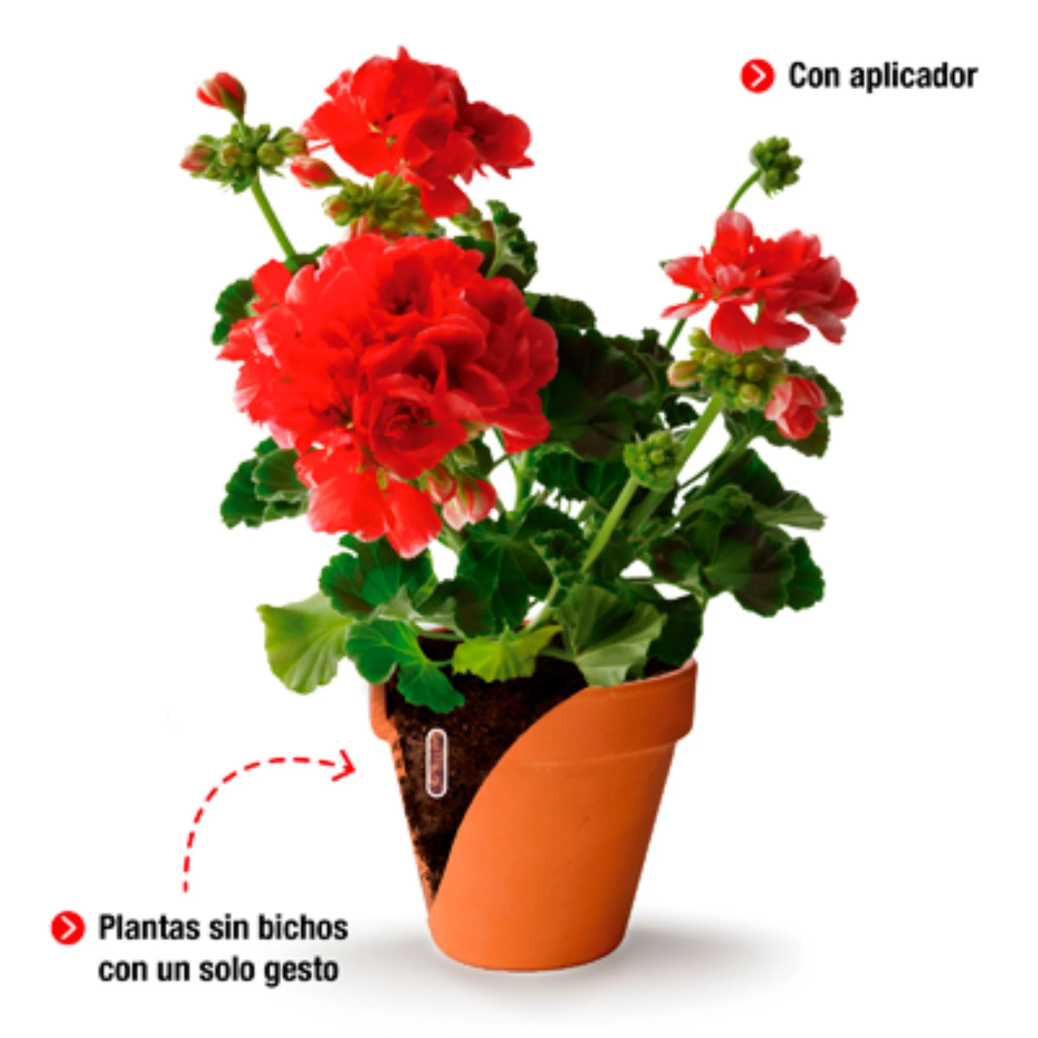 Sanium Pin Insecticida sistémico con fertilizante para plantas - Image 4