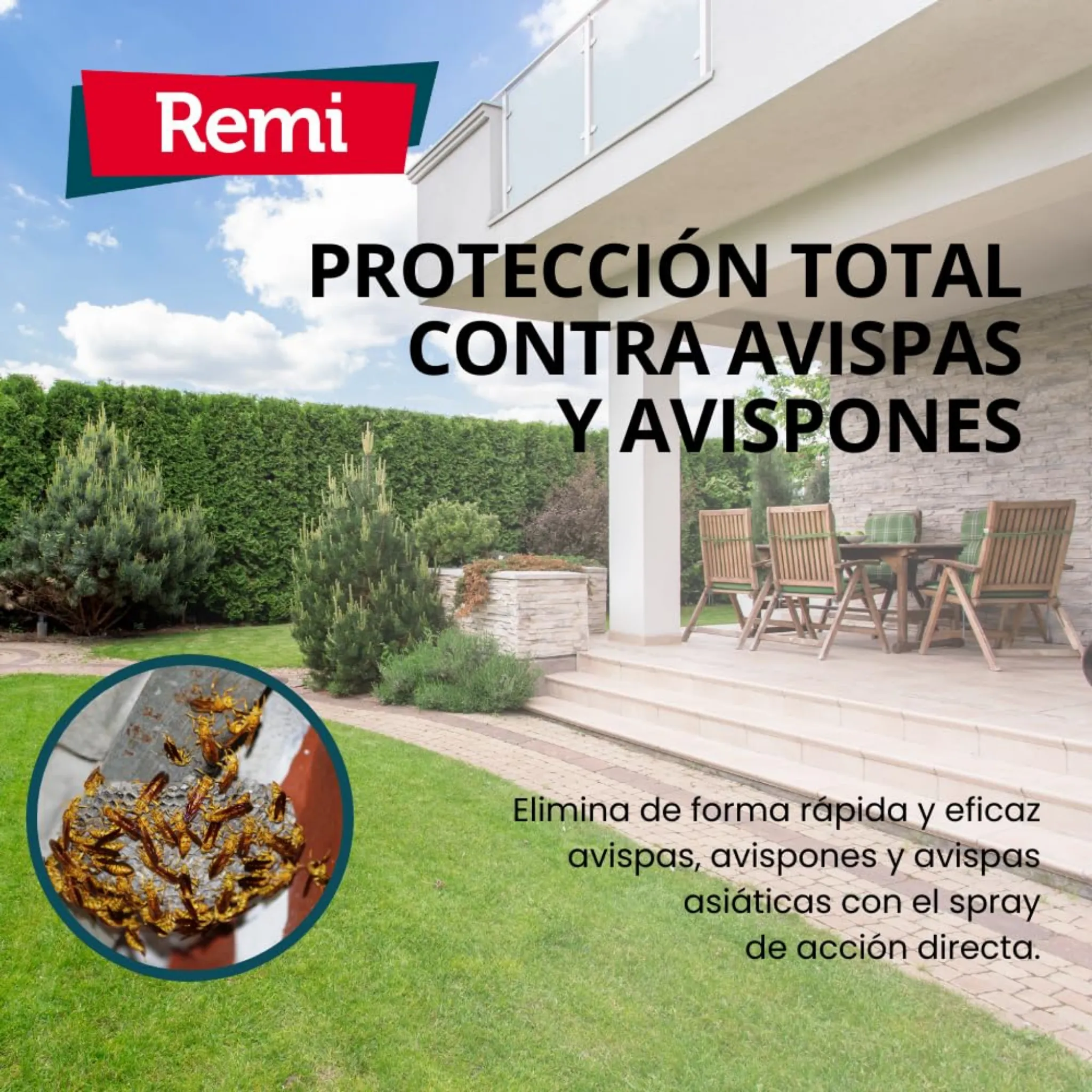 RMI Avisperos - Spray insecticida anti avispas, avispón y avispa asiática 750 ml - Image 6