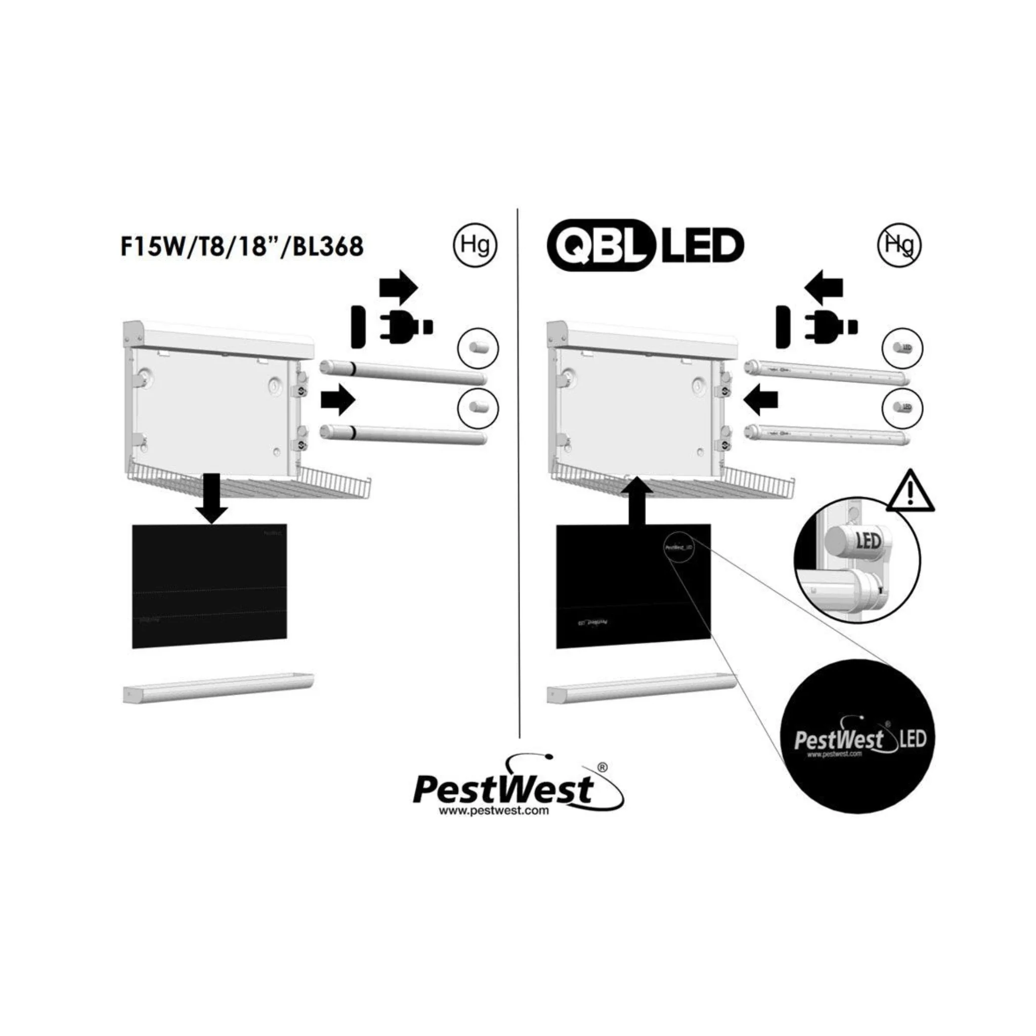 Repuesto tabla adhesiva LED Chameleon PestWest - Image 2