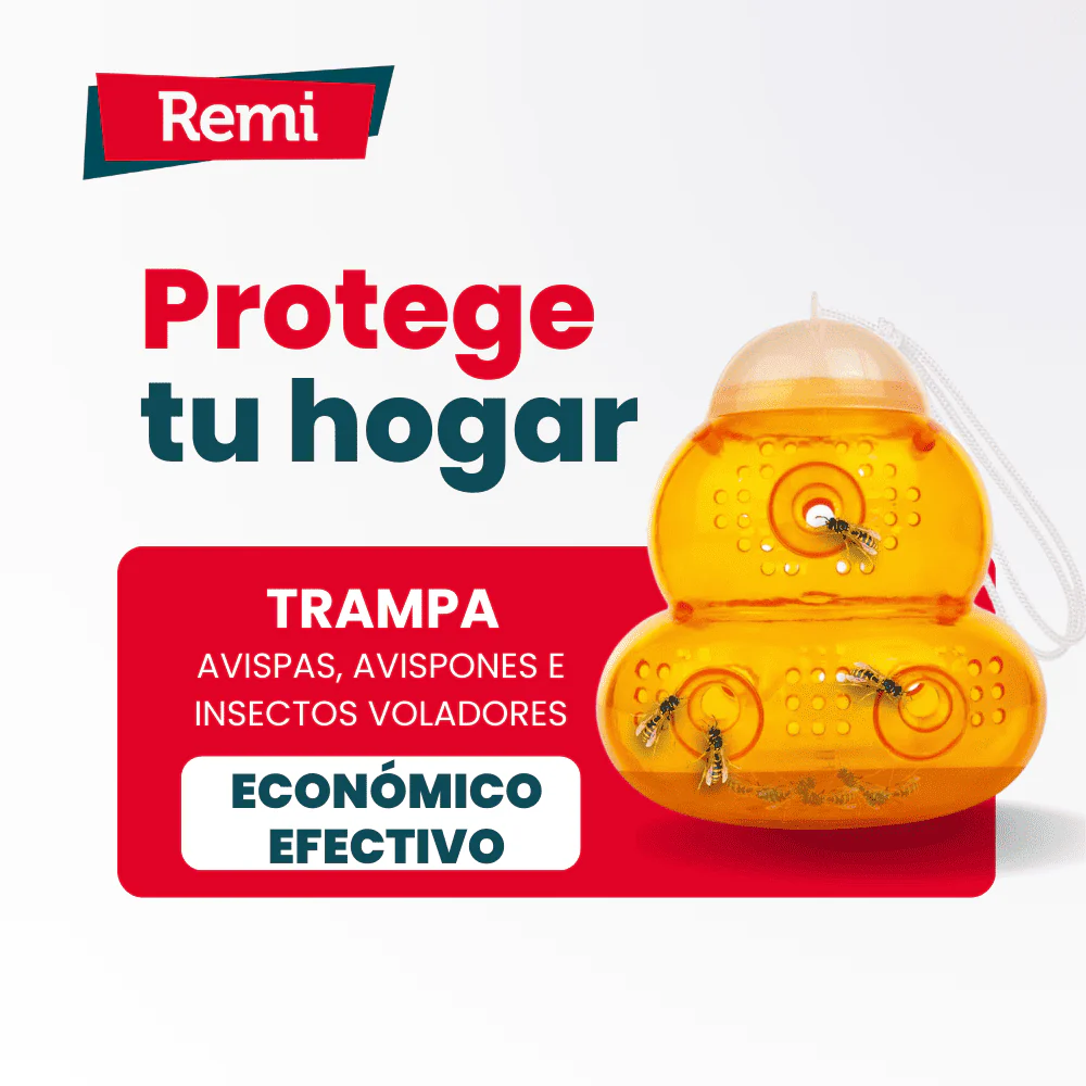 Trampa Ecologica Insectos Voladores avispas, avispones, moscas - Remi Hogar - Image 5