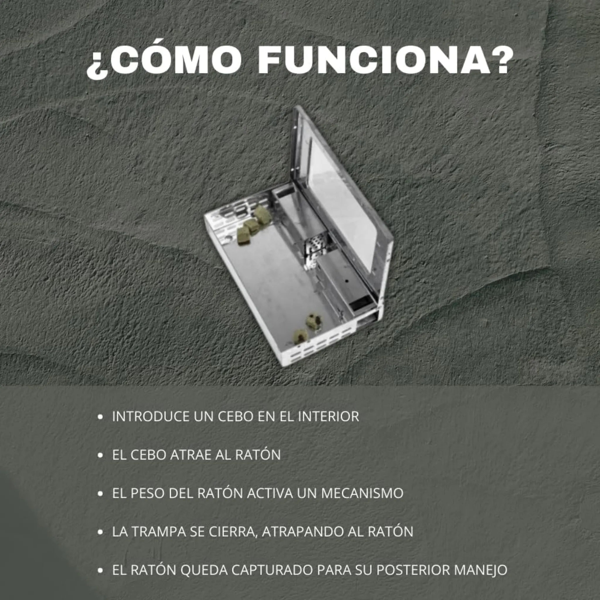 Trampa Metal Ratón - Remi Hogar - Image 6