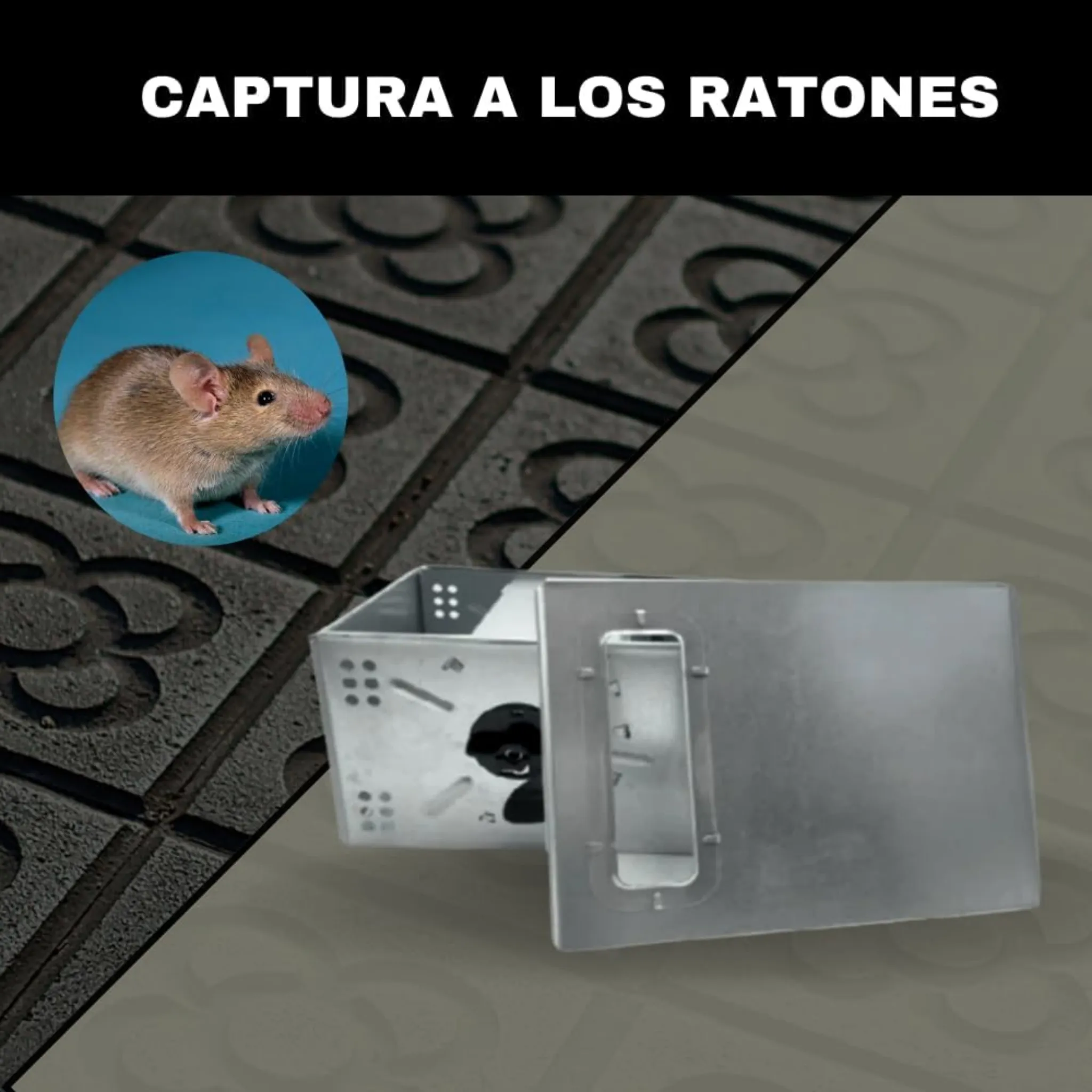 Trampa Multicaptura Para Ratones - Remi Hogar - Image 6