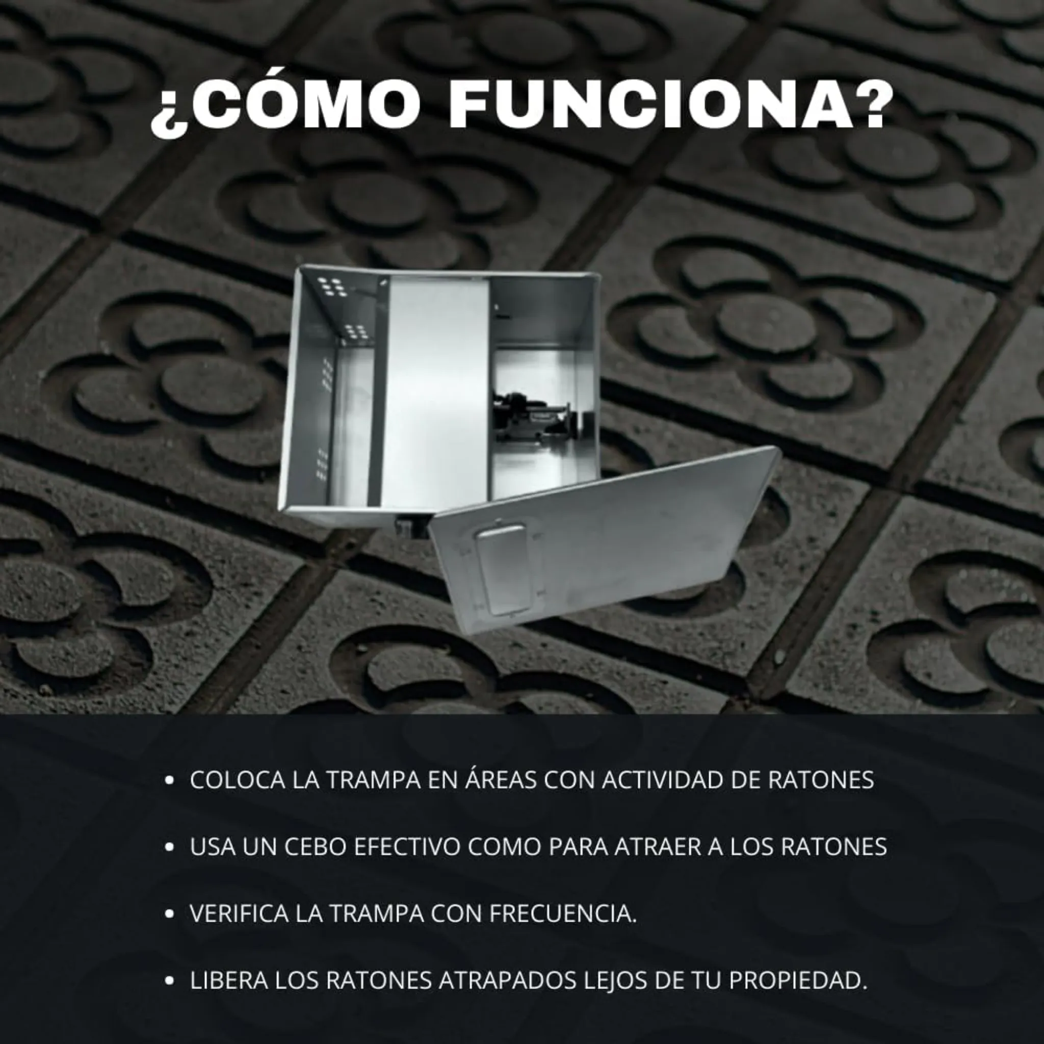 Trampa Multicaptura Para Ratones - Remi Hogar - Image 7