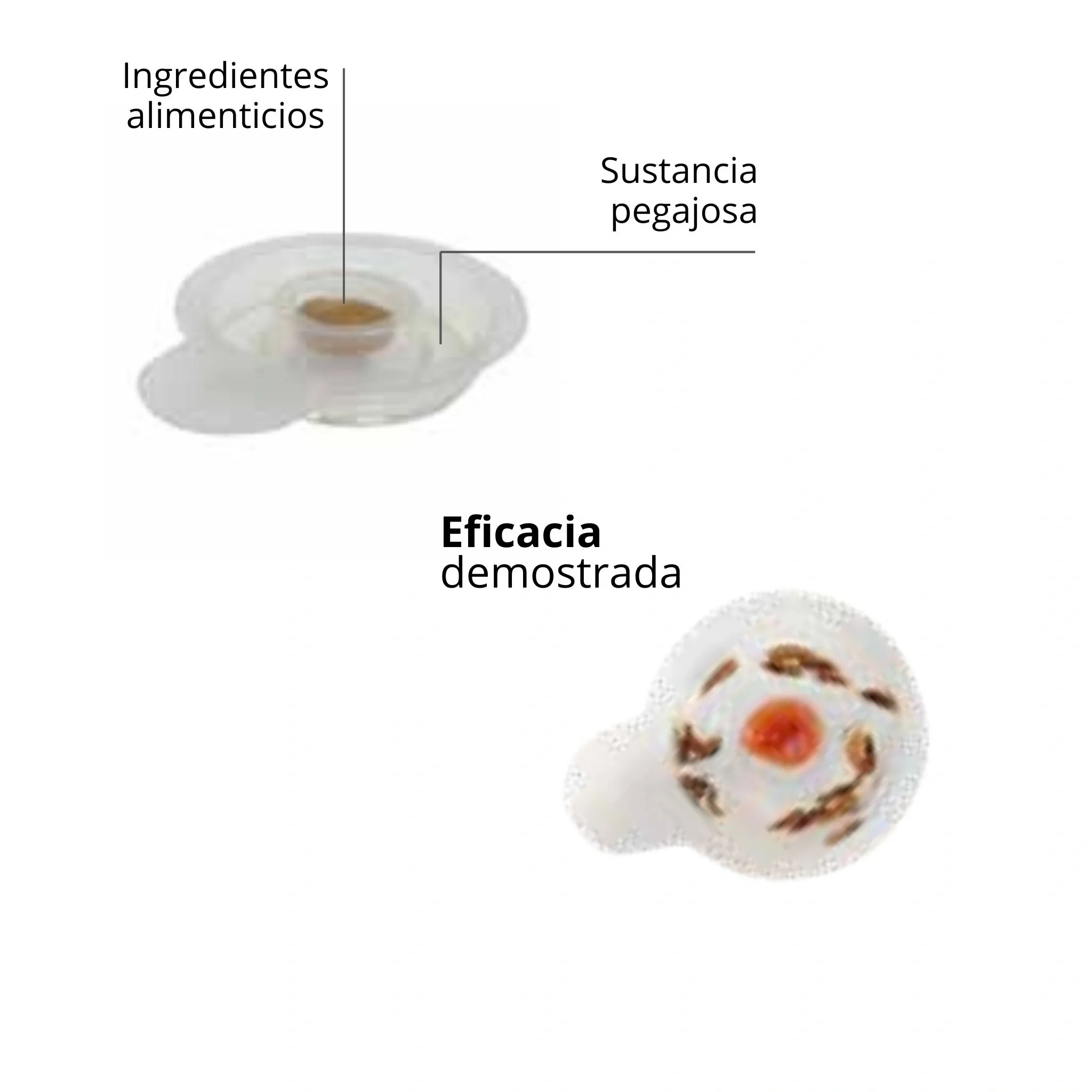 Trampa para pececillos de plata ECOGEL - Novar - Image 3