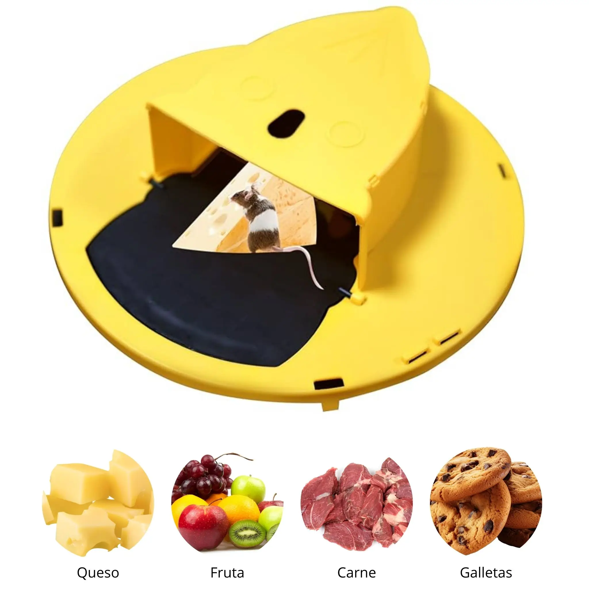 Trampa para ratas con tapa de cubo ratas y ratones - Image 6