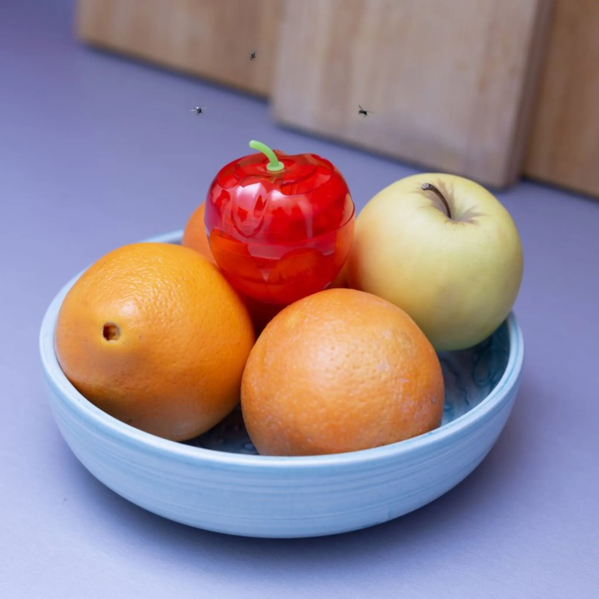 Trampas mosca de la fruta Preben - Massó - Image 6